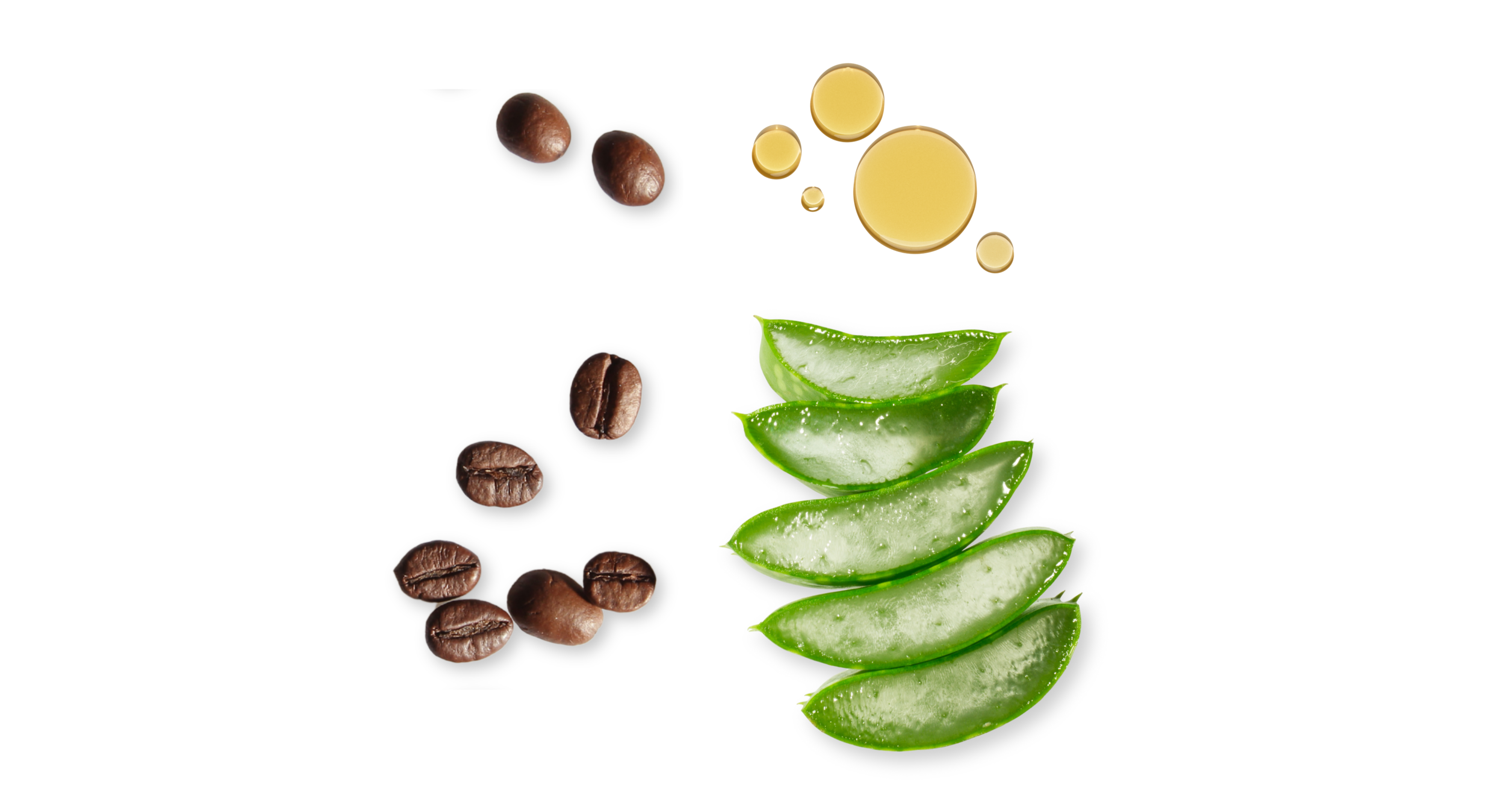 Bannière promotionnelle